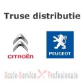Truse distributie Citroen, Peugeot | Truse distributie